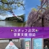 藤枝市蓮華寺池公園の藤まつりレポート🌸満開の藤と鯉のぼりを楽しむ静岡おでかけ日記