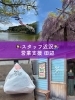 いまが見どころ♪藤まつりに行ってきました！「藤枝市蓮華寺池公園の藤まつりレポート🌸満開の藤と鯉のぼりを楽しむ静岡おでかけ日記」