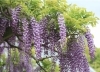 「季節の変わり目、寒暖差に負けないために」