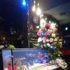 10周年を迎えました/静岡のレンタルアクアリウムはアクアデザインブルース/生き物のプロ/プロによるメンテナンス付きの水槽レンタル/