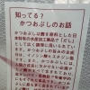 【実は、体にもやさしい一杯】