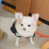 今日のお友達