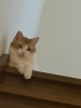 「ゴールデンウィークの休業日✨」