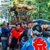 引き続き、神輿担ぎ手募集中です‼️