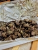 炭火の香りが食欲をそそる地鶏「初夏に味わうプリッとジューシーな地鶏炭火焼」