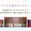 スタジオ卒業生のみなさまへ！