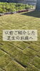緑豊かで心地よいお庭空間「【育つ家、育む暮らし】お施主様お手製のお庭と家庭菜園へ」