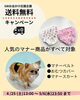 「マナー商品送料無料キャンペーンを開催‼️」