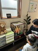 季節の行事を皆で楽しむ「端午の節句の五月人形を飾りました🎏」
