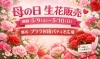 母の日の花で、感謝の気持ちを伝えよう♪「「母の日」生花販売のご案内」