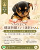 「うちの子にも「健康祈願」という選択を🐶🙏｜お守り付きのペット祈願、受付しています」