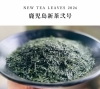 第二弾の走り新茶「【限定品】鹿児島新茶弐号　　枚方市でお茶カフェなら茶通仙 多田製茶」
