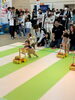 カタカタレース🚼「夏は今治市で開催住宅イベント🏠」