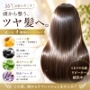 ✨️✨️当店おすすめメニューご紹介✨️✨️