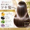 ✨️✨️当店おすすめメニューご紹介✨️✨️「✨️✨️当店おすすめメニューご紹介✨️✨️」