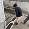 「芽が出てるよ！」