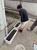 「「芽が出てるよ！」」
