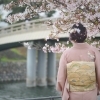 桜咲く宇治へ—淡いピンクの訪問着でお一人撮影のひととき