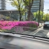 送迎の車窓から【就労継続支援B型　ゲーム　千葉市】