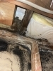 早期発見で家計への負担を軽減「しろあり防除施工士が現場で状況を見てご提案します」