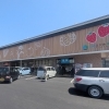 JAえひめ未来 四季菜広場がリニューアルオープン！🌱地元農家の新鮮食材がますます充実🍅🍊