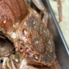 【魚も酒も自ら厳選する瑞江の小料理屋】