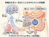 ストレス30%減】たった1秒の「ふれあい」が脳を一瞬でリラックスさせる