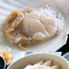 GWは道の駅さるふつ公園で“猿払の味”を満喫！ホタテ丼・ホタテめし・ソフトクリームまで