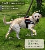 身体の無理のない動き「楽になる身体と重くなる身体の違い｜枚方市・樟葉の整体」