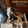 筋トレが全てではない｜枚方市・樟葉の整体