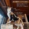 筋トレが全てではない｜枚方市・樟葉の整体