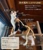 身体の無駄なく連動させる「筋トレが全てではない｜枚方市・樟葉の整体」
