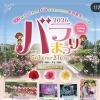 4月29日(水)は営業します🍰