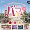 4月29日(水)は営業します🍰