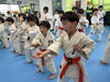 「4月28日(火)の稽古風景≪ 明石/空手/スポーツ/運動/幼児/小学生/お稽古/習い事≫」