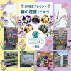 心ときめく春の開花をお楽しみに「5月限定！春のビオラプレゼント」