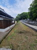本堂裏「🌿GW前の整備🧹 安養寺墓地霊園にて 草刈り・樹木伐採✂️」