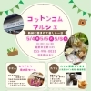GW　コットンコム　マルシェ　5/4.5.6の3日間