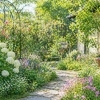 明日から5月｜新緑がいちばん美しい季節へ