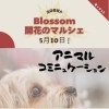 マルシェ出店ご紹介①
