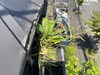 雨樋のお手入れで雨漏り防止「ゴールデンウィーク期間中の営業日についてのお知らせ」