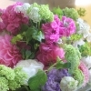 母の日に贈る、やさしいピンクの花束