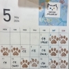 2026.5月予定