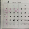５月の予定！