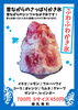「昔ながらのさっぱりかき氷、はじめました」
