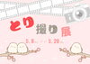 「資料展示①「とり撮り展」、②「ガーデニング特集」（～5/28）」