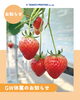 「【GW休業のお知らせ】」