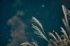 「【光害（ひかりがい）って知ってますか？】星空が好きな塗装屋が、夜空のことを少しだけお話します」