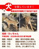 「【新居浜市宇高町】迷い犬を探しています（不明になった日：2026年4月20日）」