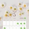 chichinpuipuicafe5月営業日